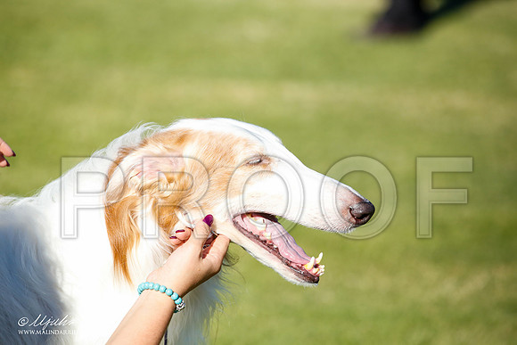 _JN_9750-AlamogordoOct2014-HR3