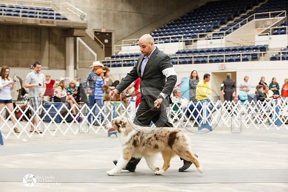 _JJ_1185-AblnMay2014-web