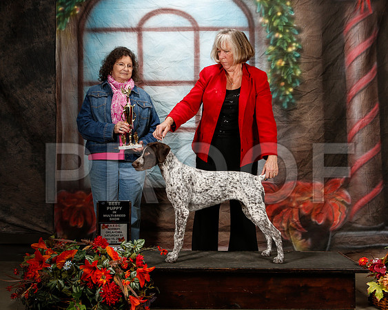_ST_7075-2-NrmnNov2014-HR3