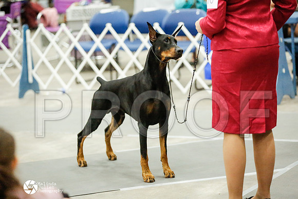 _RH_2164-AblnMay2014-web