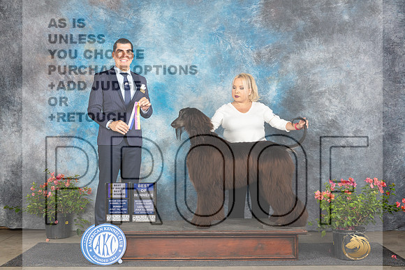 Afghan Hound #10 WBBOWBOB Judge Victor Rosado_JP_5963e_San Antonio_2024-HR3