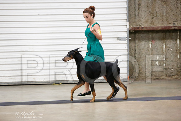 _JN_0610-CnroeJul2014-HR3