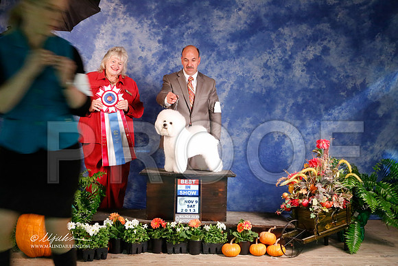Bichon-4807-HstnNov13-HR