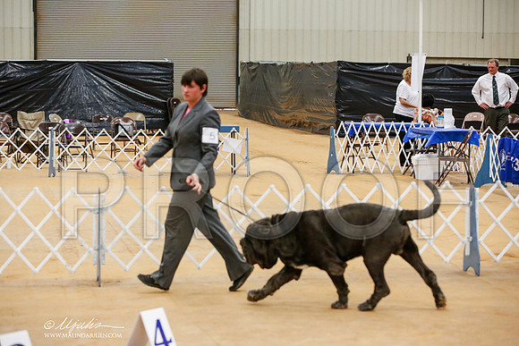_JJ_9002-TxArJun2014-HR3