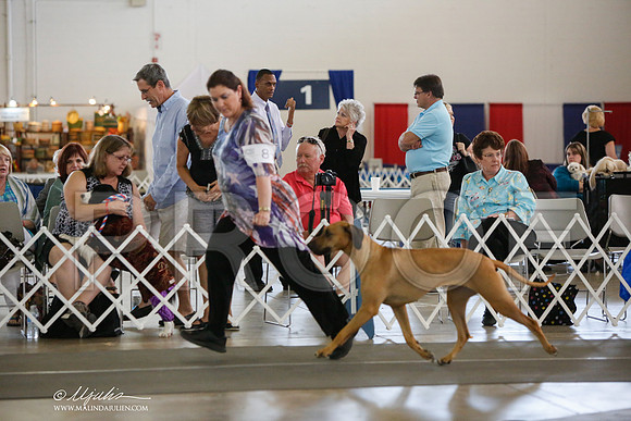 _JJ_2744-DallasJul2014-HR3
