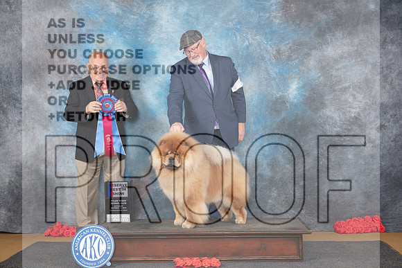 Chow #5 Sat RBIS Judge Sidney Marx__JP_0327_Sulphur Springs_2024_HR3