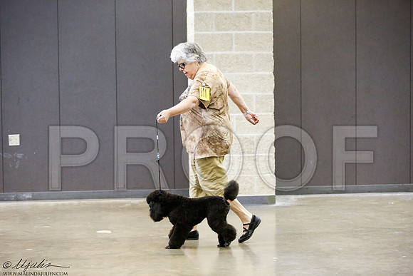 _J3L0172-BeltSep2014-HR