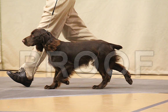 MJS_2724