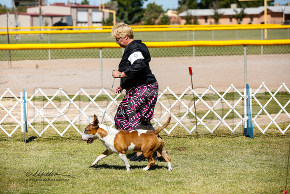 _JJ_3316-AlamogordoOct2014-HR3
