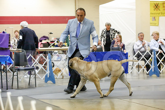 _JJ_9795-AmarilloSept2014-HR3