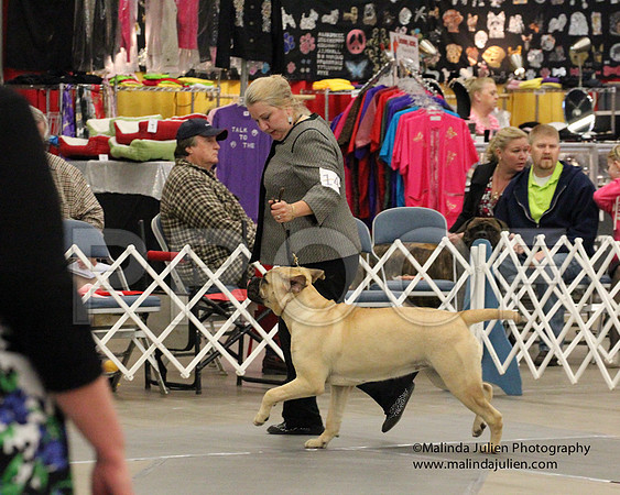 9-12PupSweeps-8806