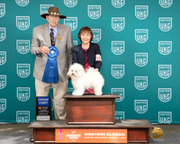 Ikuko Hisaka UKC Longview WA 2024