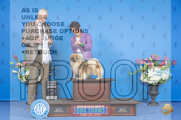 Tibetan Spaniel #5 THUR G4 Judge Jon Cole__JP_8582_Houston_2024_HR3