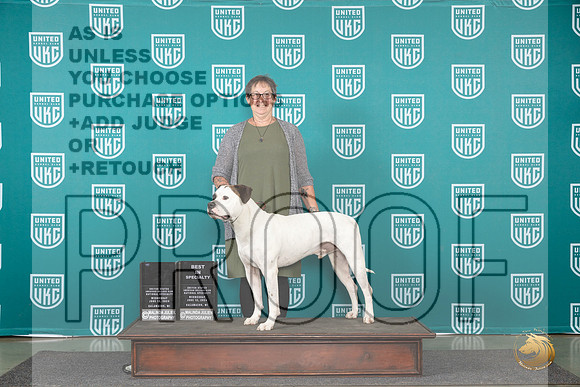 American Bulldog #101 Wed BISSAnnualVersAward Judge Stan Matsumoto__JP_0369_Premier_2024_HR3