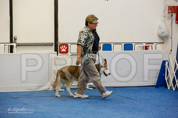 _M3_7470-AddisonHuskyMar2015-HR3