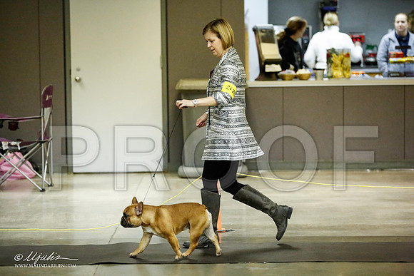_JJ_5546-BeltonJan2015IABCA-HR3