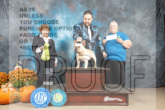 French Bulldog #11 sun OHRBIS Judge Donnell Richards_MJ_6933_Belton_2022_HR3