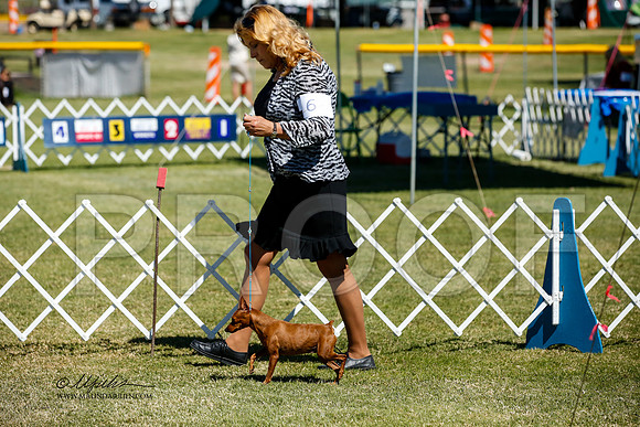 _JJ_3397-AlamogordoOct2014-HR3