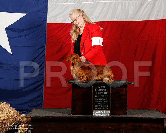 _ST_1773-2-AmarilloSep2014-HR3