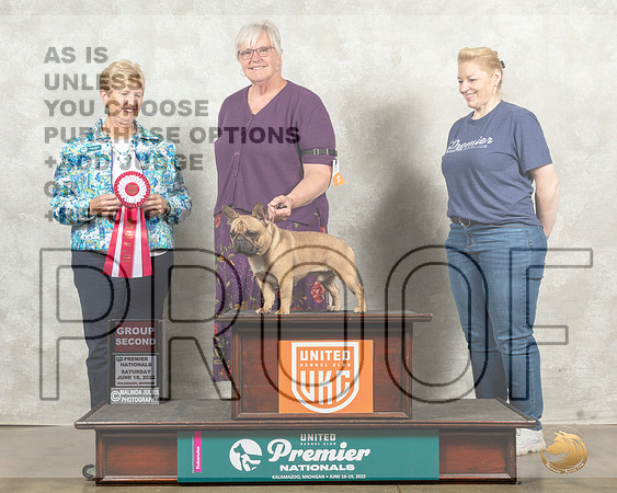 French Bulldog #239 Sat G2 Judge Karen Hynek__MJ_8546_Premier_2022_HR3