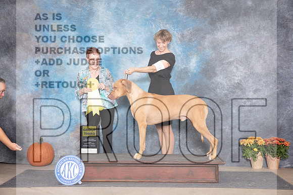 Rhodesian Ridegback #9 Fri G3 Judge Ann Meyer__JP_8293_Humble_2024_HR3