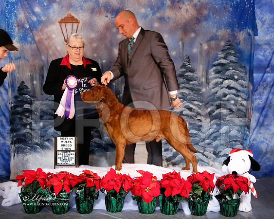 chessie-6175-MrshlDec13-HR