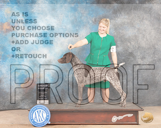 German Shorthaired Pointer #5 Sun G4 Judge Lori Nelson-MMJ_4977-Abilene2022-HR3