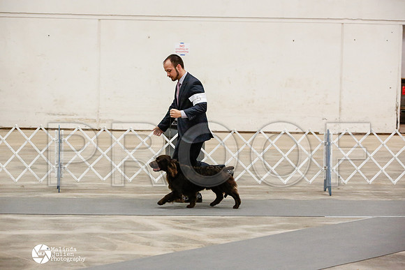 _JN_0442-AblnMay2014-web