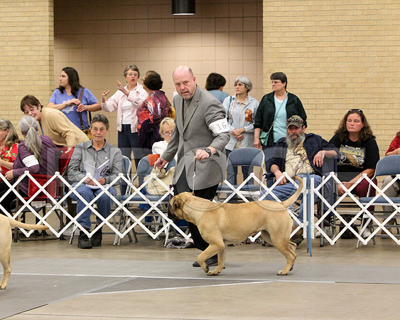 9-12Pup-8530