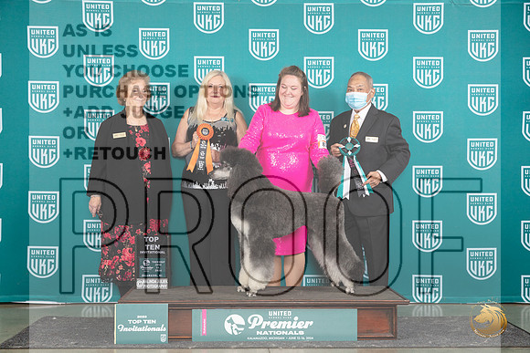 Poodle Std MC #819 Thur T10F__JP_1438_Premier_2024_HR3