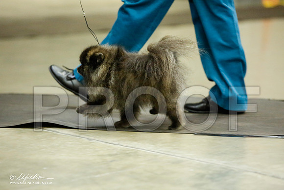 _JJ_5449-BeltonJan2015IABCA-HR3