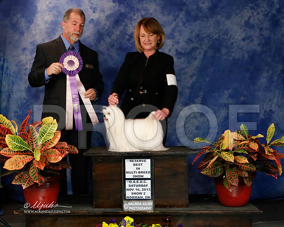 _J2_8980-NormNov2013-HR