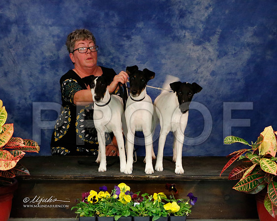 _J2_8655-NormNov2013-HR