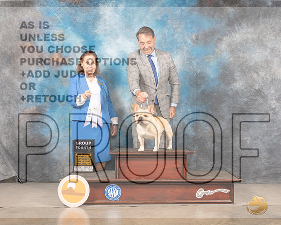 French Bulldog #23 Sat G4 Judge Donnelle RichardsMMJ_4712_Mdlnd2022_HR3