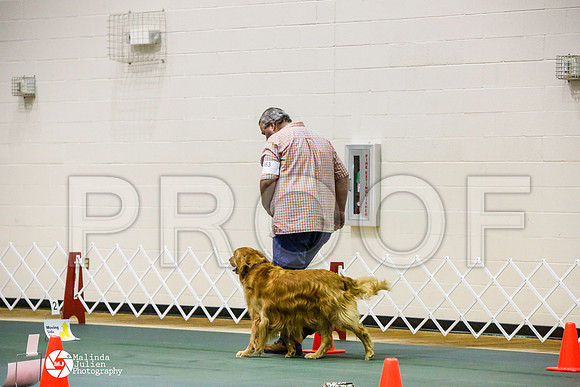 _JJ_2635-BsrCtyJun2014-HR3