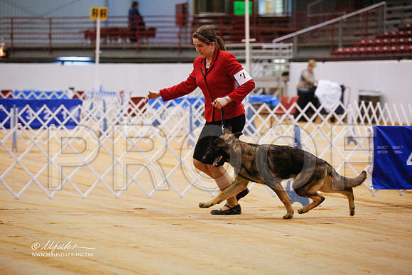 GSD-9318-GRJan14-HR