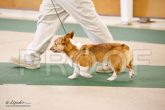 _JN_1736-NrmnNov2014-HR3