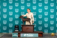 American Hairless Terrier #883 Thur AOE Judge Traci Karsjens