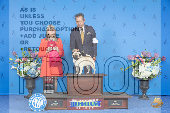 Pug #5 THUR G2 Judge Angela Pickett__JP_8542_Houston_2024_HR3