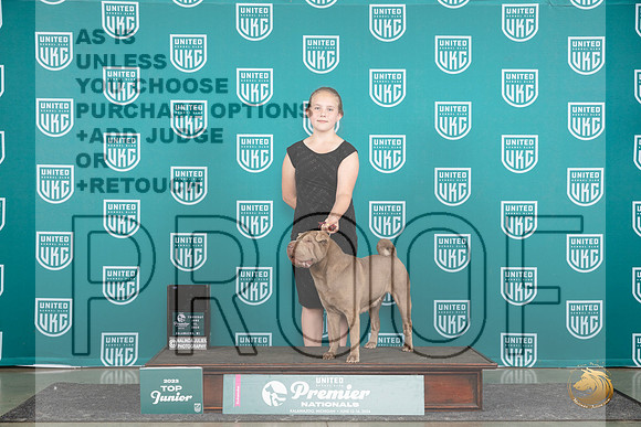 Chinese Shar Pei #1179 Thur NtlTJr4th Judge Kathie Short__JP_1354_Premier_2024_HR3