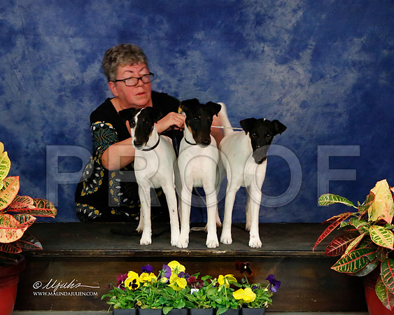 _J2_8649-NormNov2013-HR