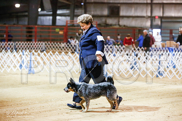 _JN_3974-2-GlenRoseJan2015-HR3