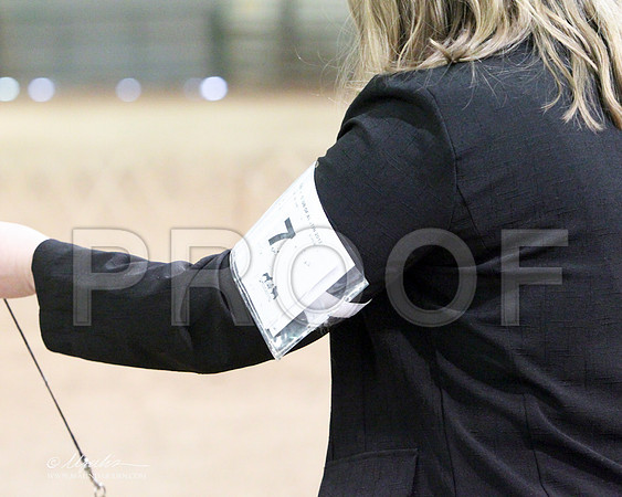 RDogs-0109