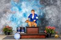 Norfolk Terrier #5 Fri SDOHBOB Judge Elizabeth ‘Beth’ Sweigart
