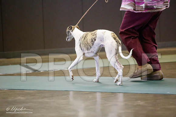 _JN_3697-BeltonJan2015-HR3