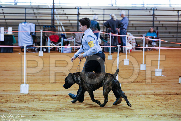 _RH_2684-MarshDec2014-HR
