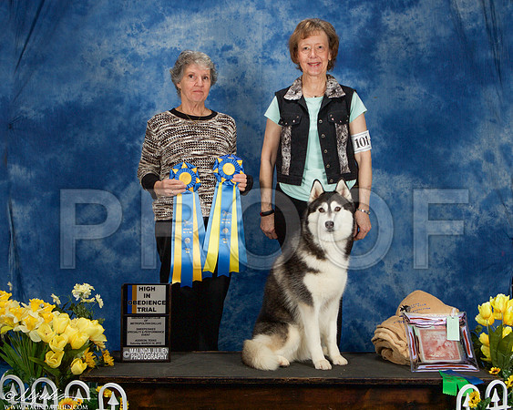 _ST_4103-AddisonHuskyMar2015-HR3