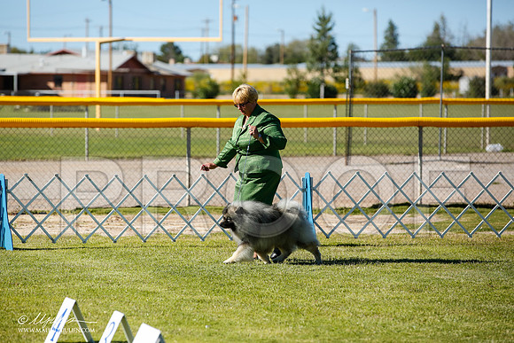 _JN_7599-AlamogordoOct2014-HR3