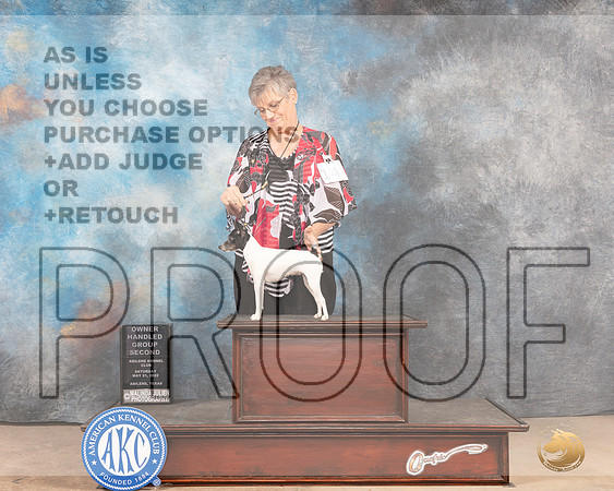 Toy Fox Terrier #14 Sat OHG2 Judge Gloria Kerr-MMJ_4204-Abilene2022-HR3