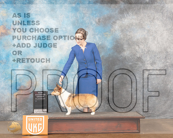 Pembroke Welsh Corgi # Custom Judge Sonia YearwoodMMJ_6197_Lngvw2022HR3